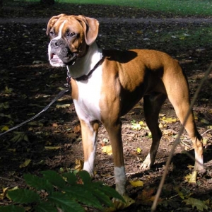 Bruce at Westonbirt Arboretum