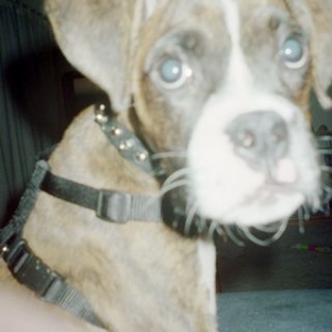 Look how cute I am!