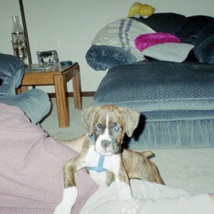 So Cute! Hangin' with Daddy