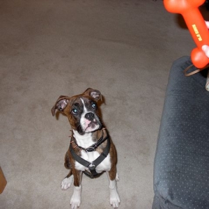 My favorite toy! Gimme!!