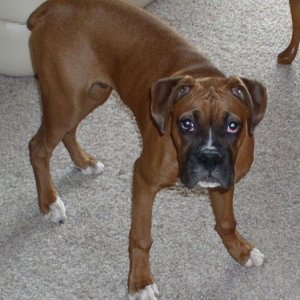 Our Foster