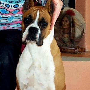 Pretty Laci