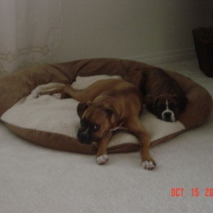 Hangin in moms room