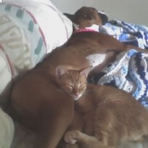 Bucky & Leila