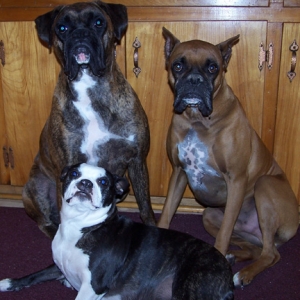 dah fur kids getting older