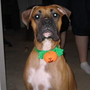this is my cousin tyson