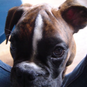 Please mummy!!!