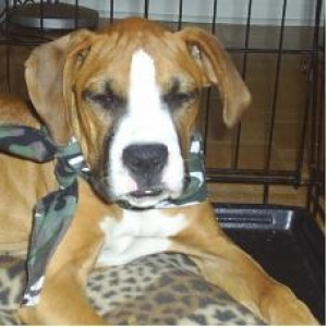 Roxy 4 mths old