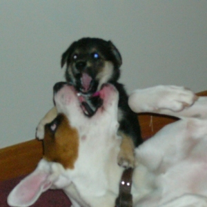 Baxter and Daisy