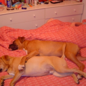 Even protecting in his sleep