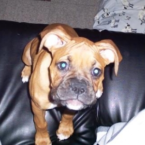 AWWWW ...look at my smooshy face...