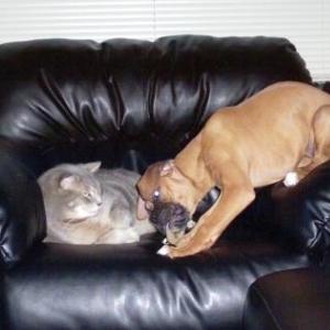 This couch is NOT big enough for the two of us!!