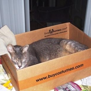 This is my new bed...