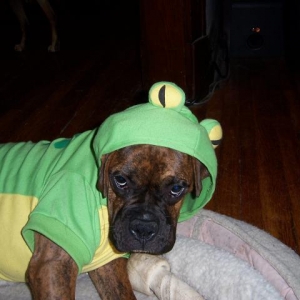 Froggy