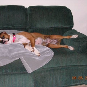 Apparently, this is her couch