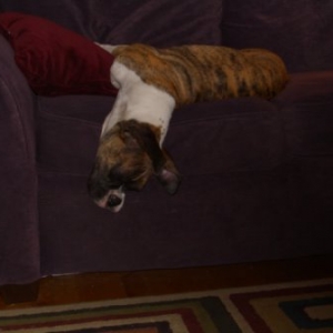 sleeping