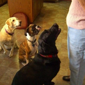 Lucy and her cousins
