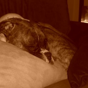 sleeping2