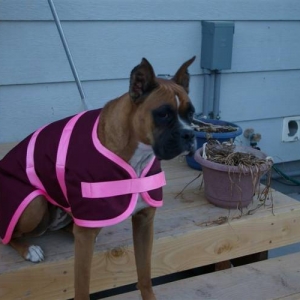 winter coat...