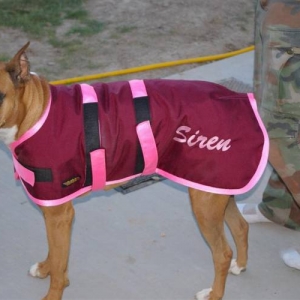 winter coat