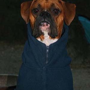 Papi Keeping Warm