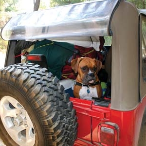 Papi Goes Camping