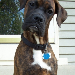 My man, Kane