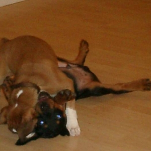 Brustis_and_Axel-5