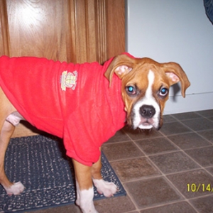 Do I have to wear this?