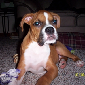 Samson2_10_10_051
