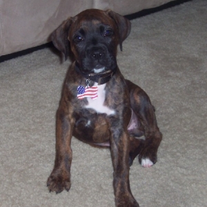 Kane at 2 months
