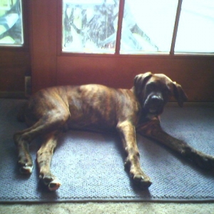 Kane new house