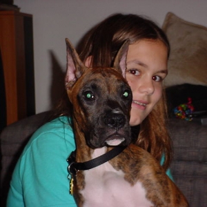 Baron with his ears done