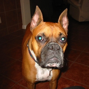 Lookin' for some lovin!