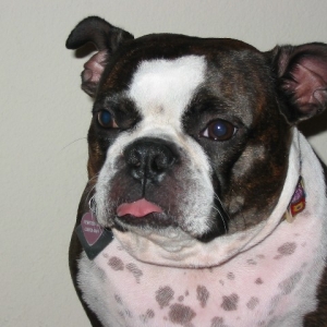 Pretty girl
