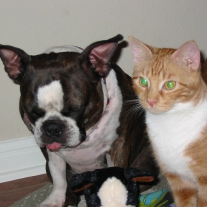 Party Animals!