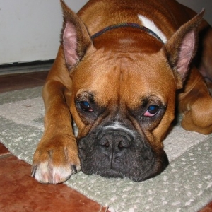 Not impressed!