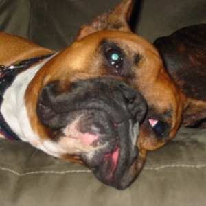 Smooshy lips!