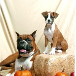 Fall Pictures