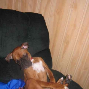 So Sleepy