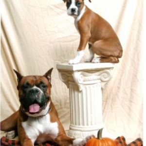 Fall Pictures