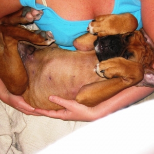 Spoiled Rotten