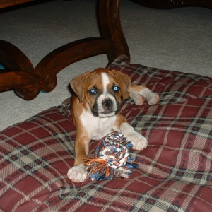 Gretchen 8 wks