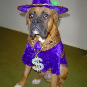 Rocco being P.I.M.P.