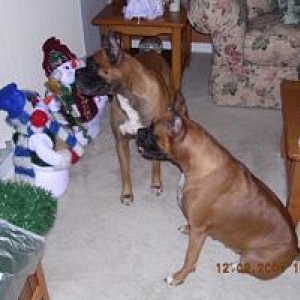 Taz and Tasha