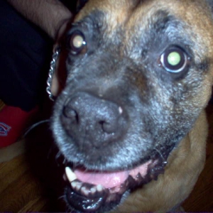 Smiling Girl!