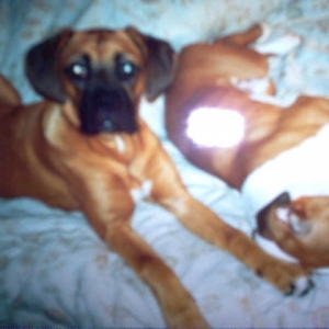 Isis & her brother age 1