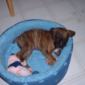 oSCAR_AND_kIDS_012