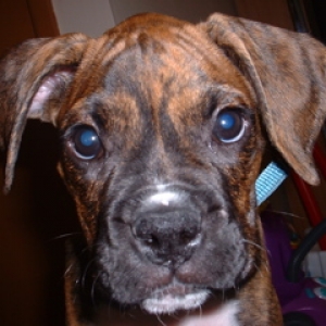 oSCAR_AND_kIDS_029