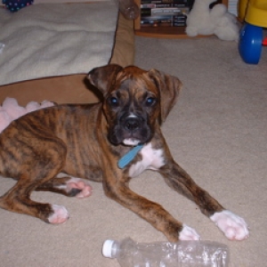 oSCAR_AND_kIDS_042